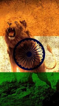 army, india, indian, indian army, indian flag