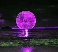 full moon, purple