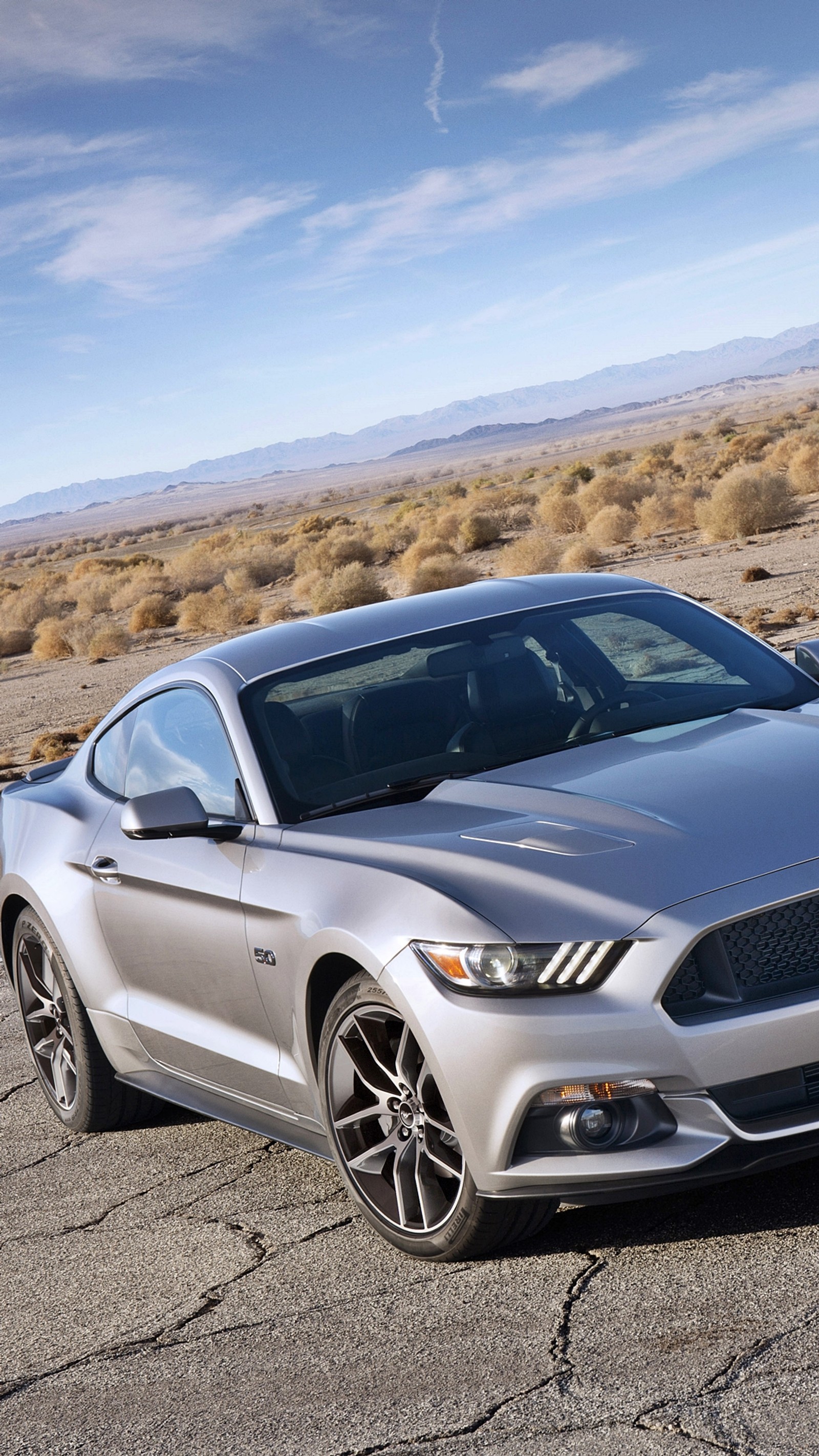 Un mustang plateado árabe estacionado en un área desértica (ford, mustang, nuevo)