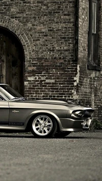 auto, beeindruckend, klasse, ford mustang, gt500