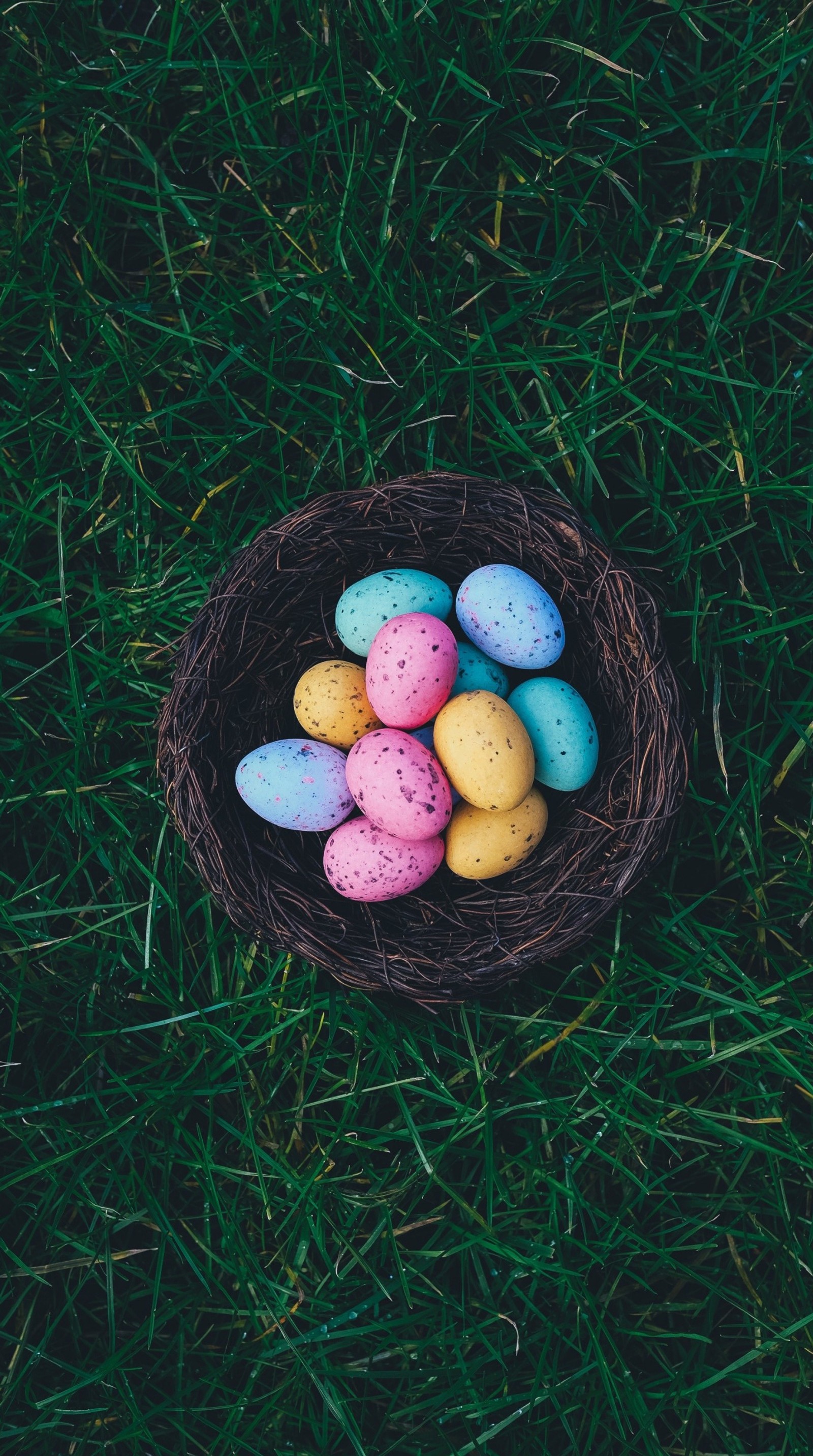 colors, easter, eggs, holidays Download Wallpaper