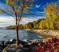 Herbstliche Gelassenheit am Wasserufer