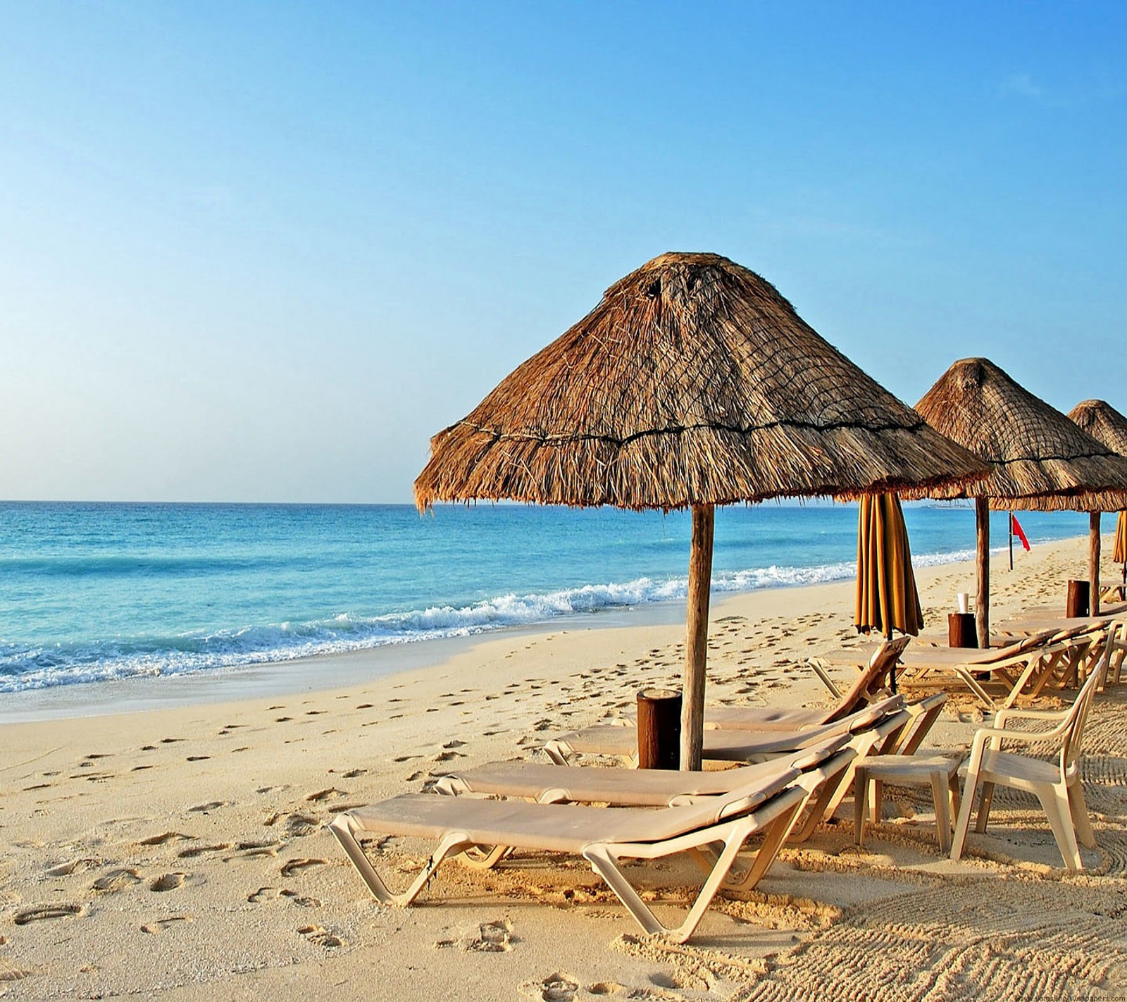 There are many chairs and umbrellas on the beach near the water (beach, landscape, sea, wallpaper)