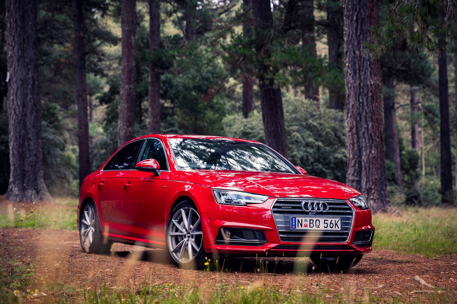 Ein rotes audi-auto fährt durch einen wald auf einer schotterstraße (auto, audi, audi a4, familienauto, audi a6)