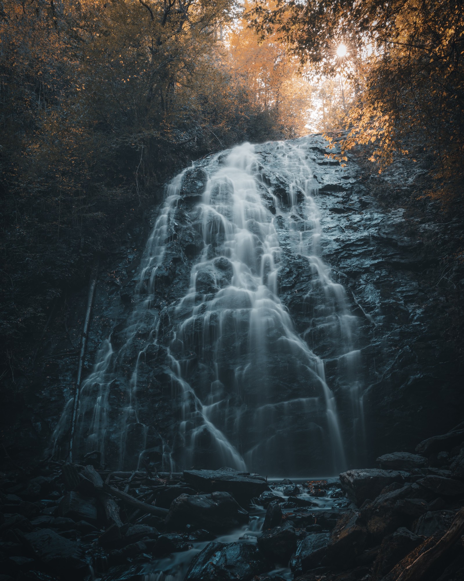 Un primer plano de una cascada en un bosque con árboles (cascada, agua, naturaleza, recursos hídricos, cauce)