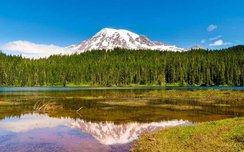 Вид на гору с озером и лесом на переднем плане. (гора рейнир, mount rainier, вулкан, сиэтл, вашингтон)