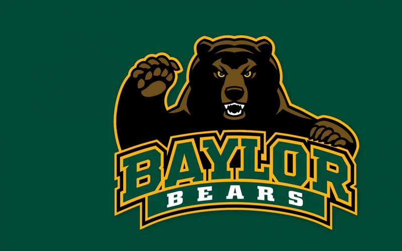 A close up of a bear mascot on a green background (logo)