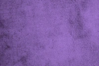 violet, purple, lilac, lavender, magenta