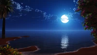 beach, night, seascape, moon, blue sky wallpaper