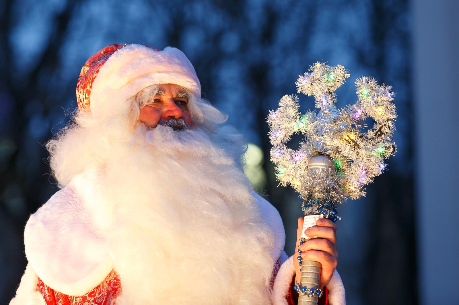 Papai noel segurando uma árvore de natal e um floco de neve prateado (tradição, cabelo facial, cabelo, lã, evento)