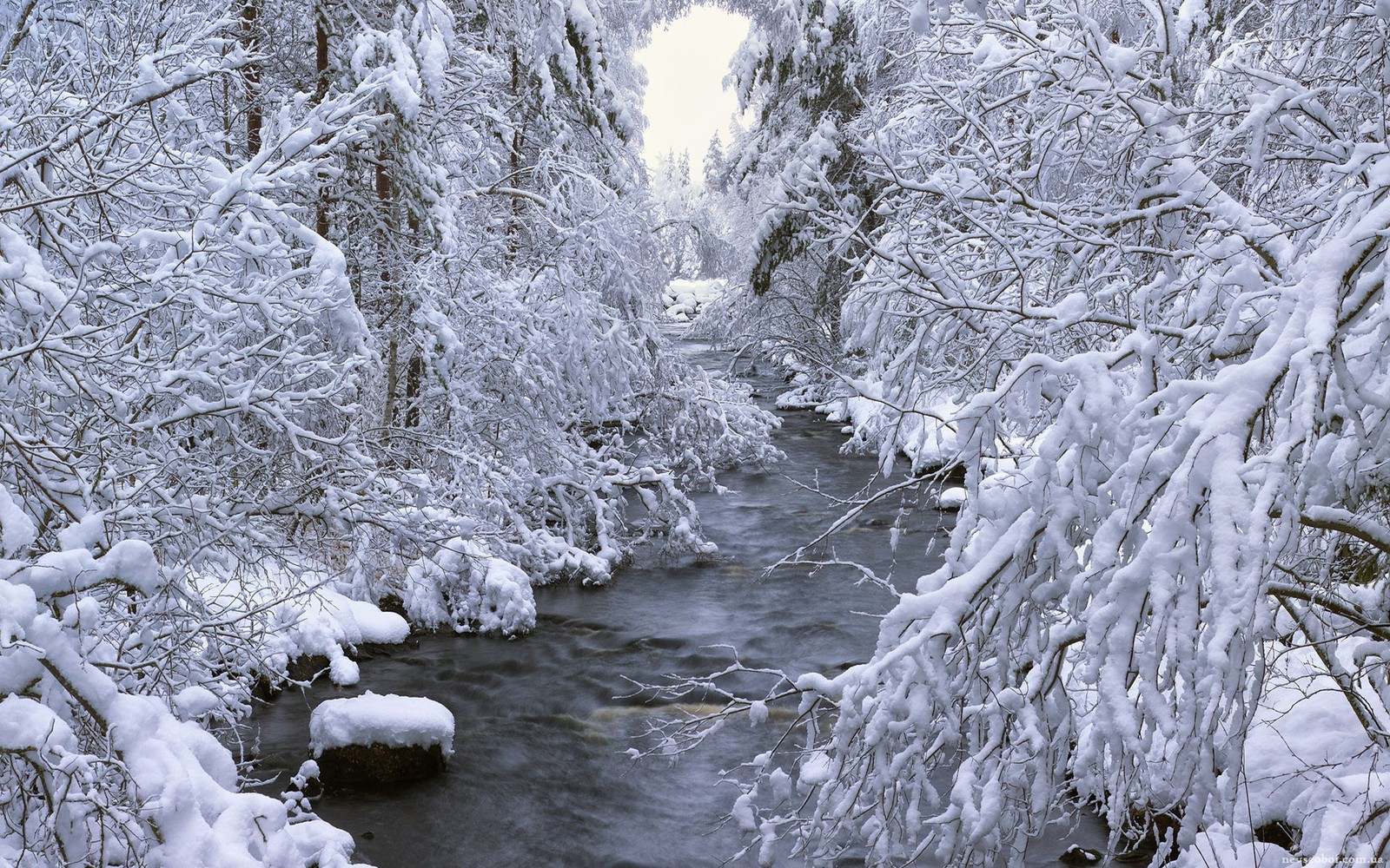 winter, snow, water, stream, frost wallpaper