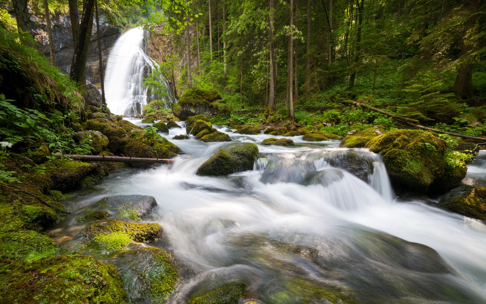 Une cascade dans les bois avec des pierres couvertes de mousse et des arbres (plan deau, ressources en eau, nature, la cascade, ruisseau)