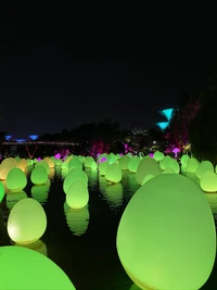 Formas de ovo iluminadas refletindo na água em meio a uma paisagem noturna em Cingapura