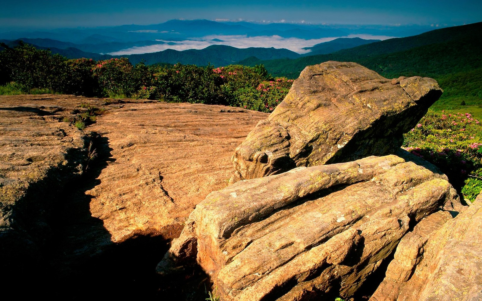 Existe muitas pedras grandes na encosta da montanha (rocha, árvore, wild, colina, badlands)