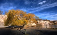 Sérénité d'Automne : Réflexions d'un Arbre Doré au Bord de l'Eau