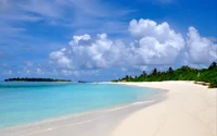 Plage tropicale sereine avec kayak et côte luxuriante