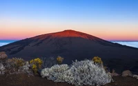 Dawn light illuminates a majestic stratovolcano, surrounded by rugged wilderness and vibrant desert flora against a clear sky.