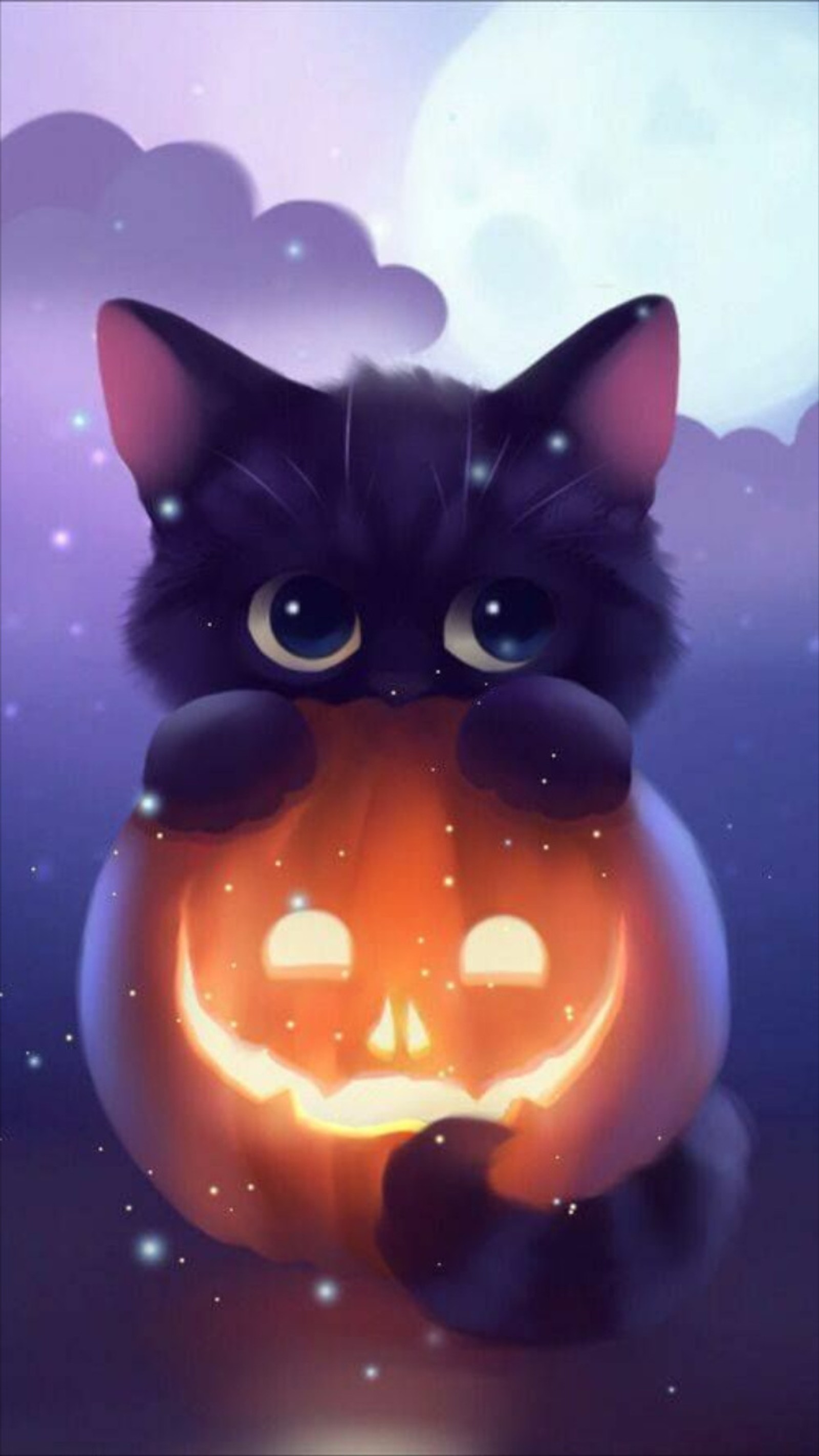 A close up of a cat sitting on a pumpkin with a glowing face (halloween walpapers, halloween favorites, favorites)