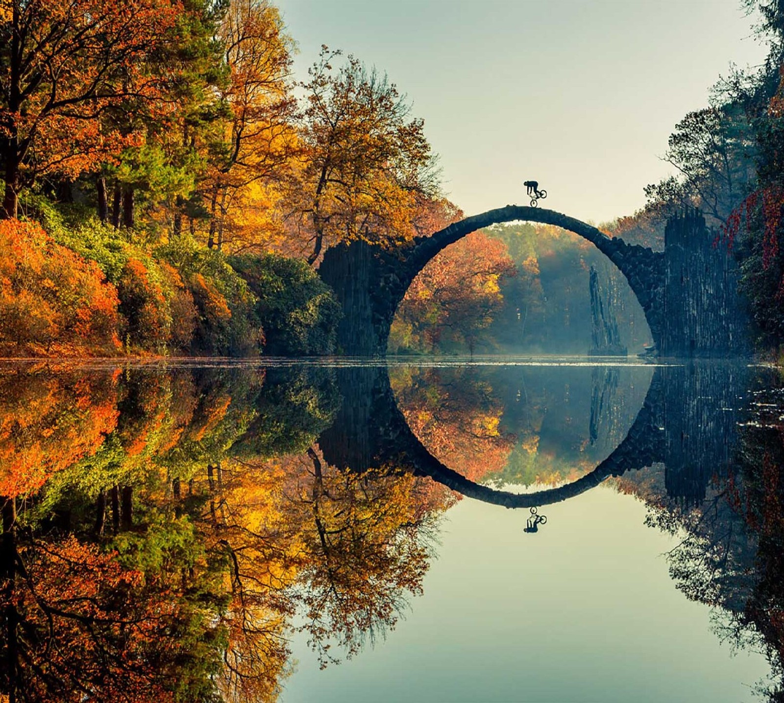 Uma ponte sobre um rio com um pássaro voando sobre ela (natureza)