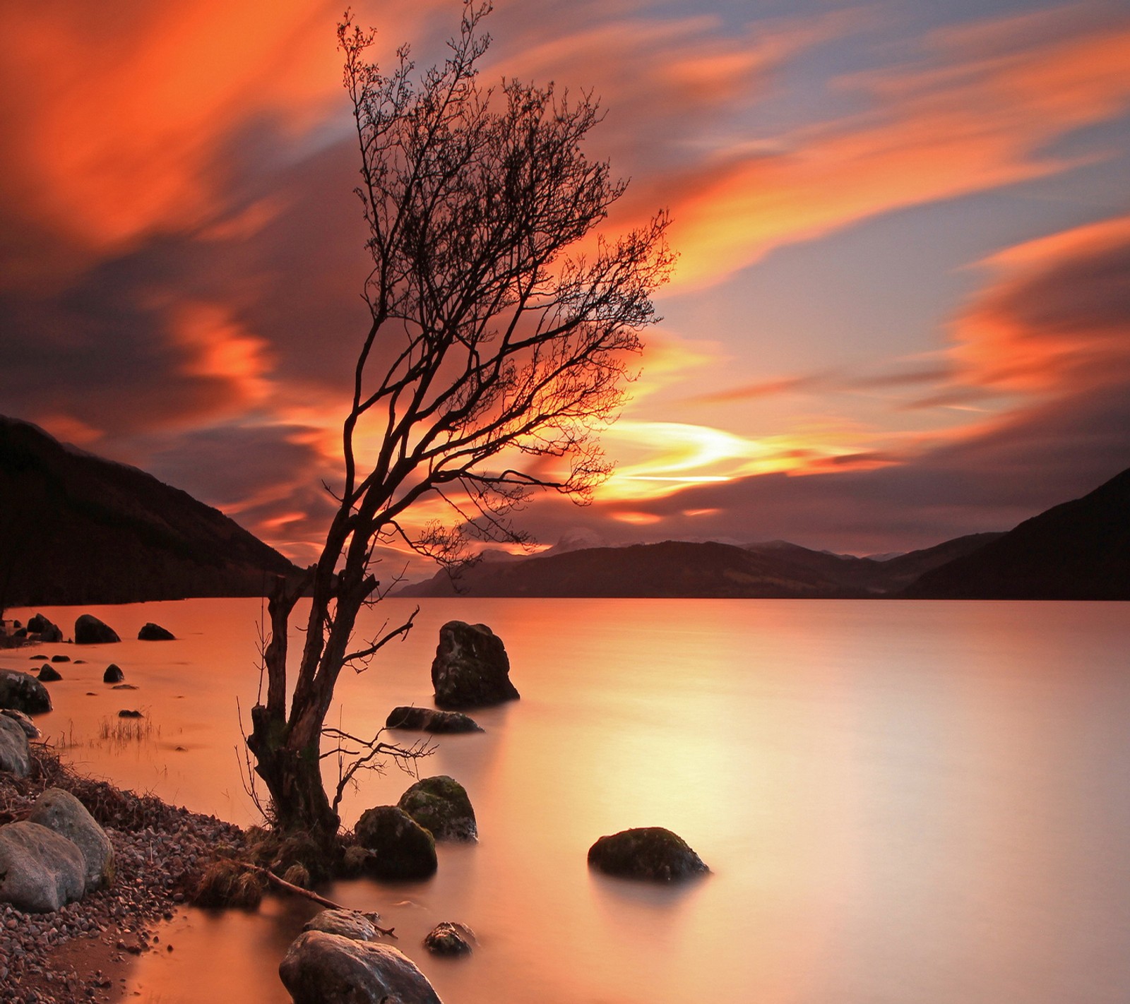 Image d'un arbre dans l'eau avec des rochers et un coucher de soleil en arrière-plan (paysage, coucher de soleil)