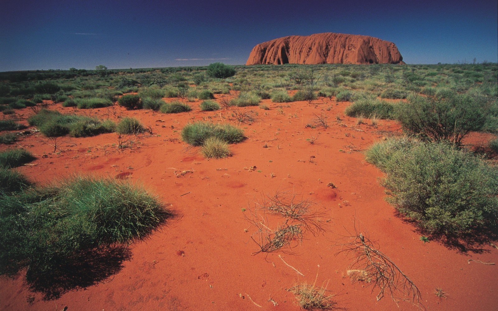 Um close em um deserto com uma rocha ao fundo (uluru, cânion dos reis, natureza, paisagem natural, vegetação)