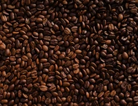 Close-Up of Roasted Coffee Beans: A Rich Array of Varieties