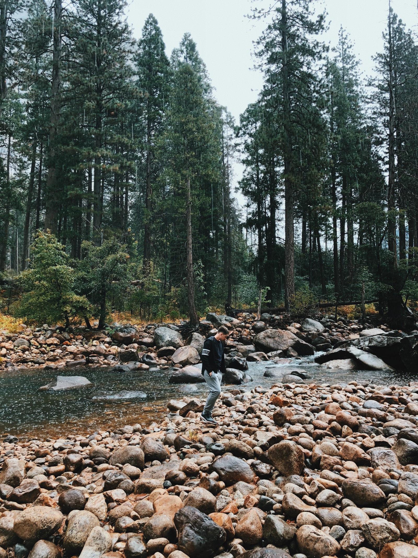 Il y a un homme debout dans une rivière avec des rochers et des arbres (sauvage, eau, lit de ruisseau, biome, forêt ancienne)