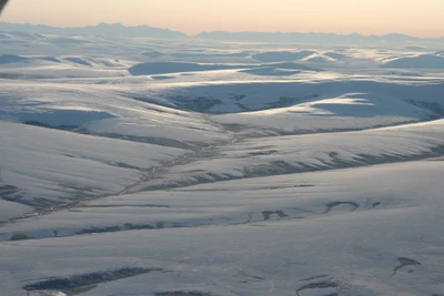 Weite arktische Tundra unter sanftem Winterlicht