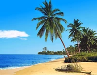 mural, tree, tropics, beach, palm tree