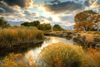 nature, water, bank, reflection, desert