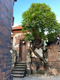 Eingang zum alten Dorf mit Ziegelmauerwerk und Baum