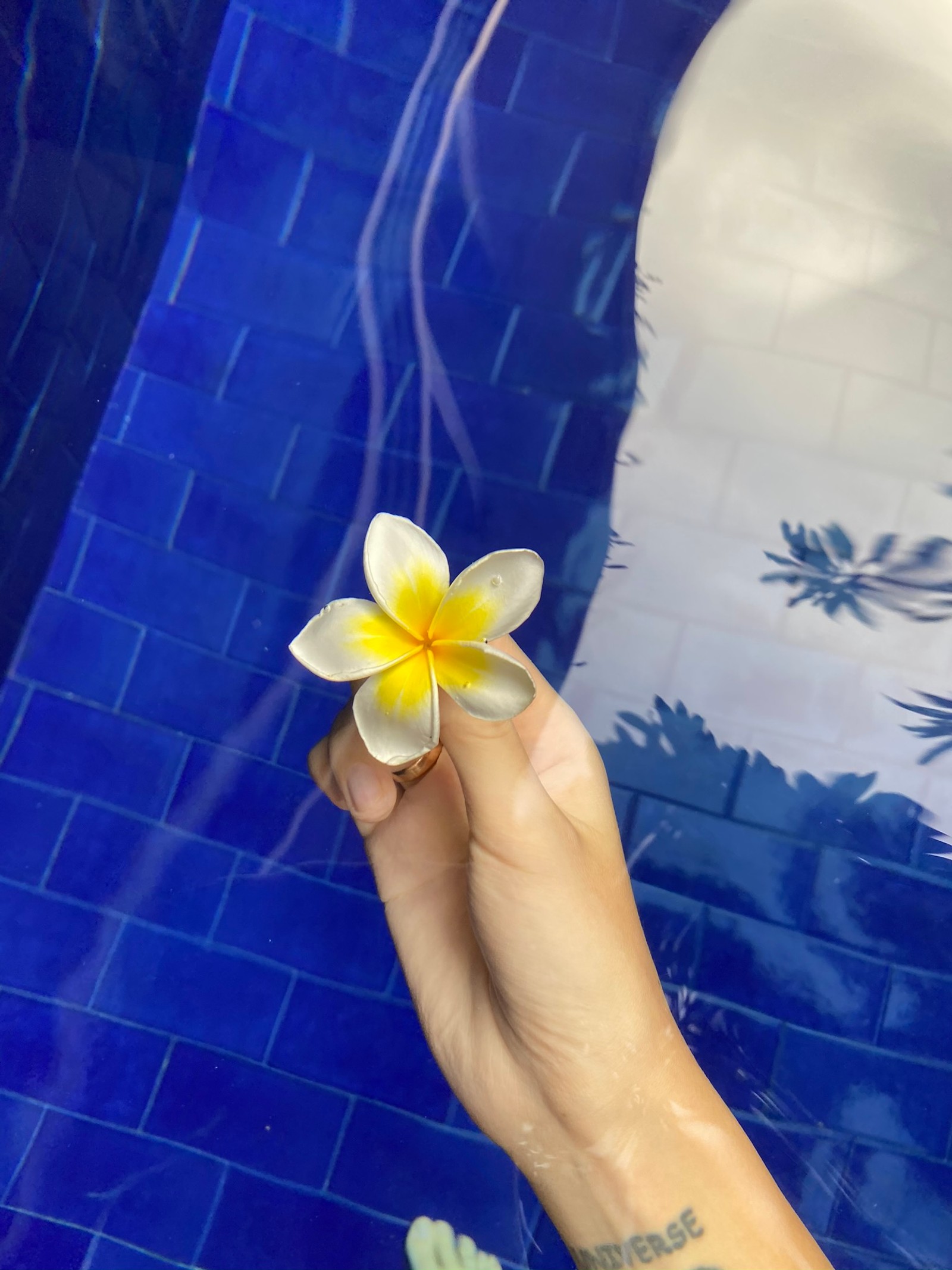 Quelqu'un tenant une fleur dans sa main près d'une piscine (bleu cobalt, pétale, fleur, frangipanier, bleu majorelle)