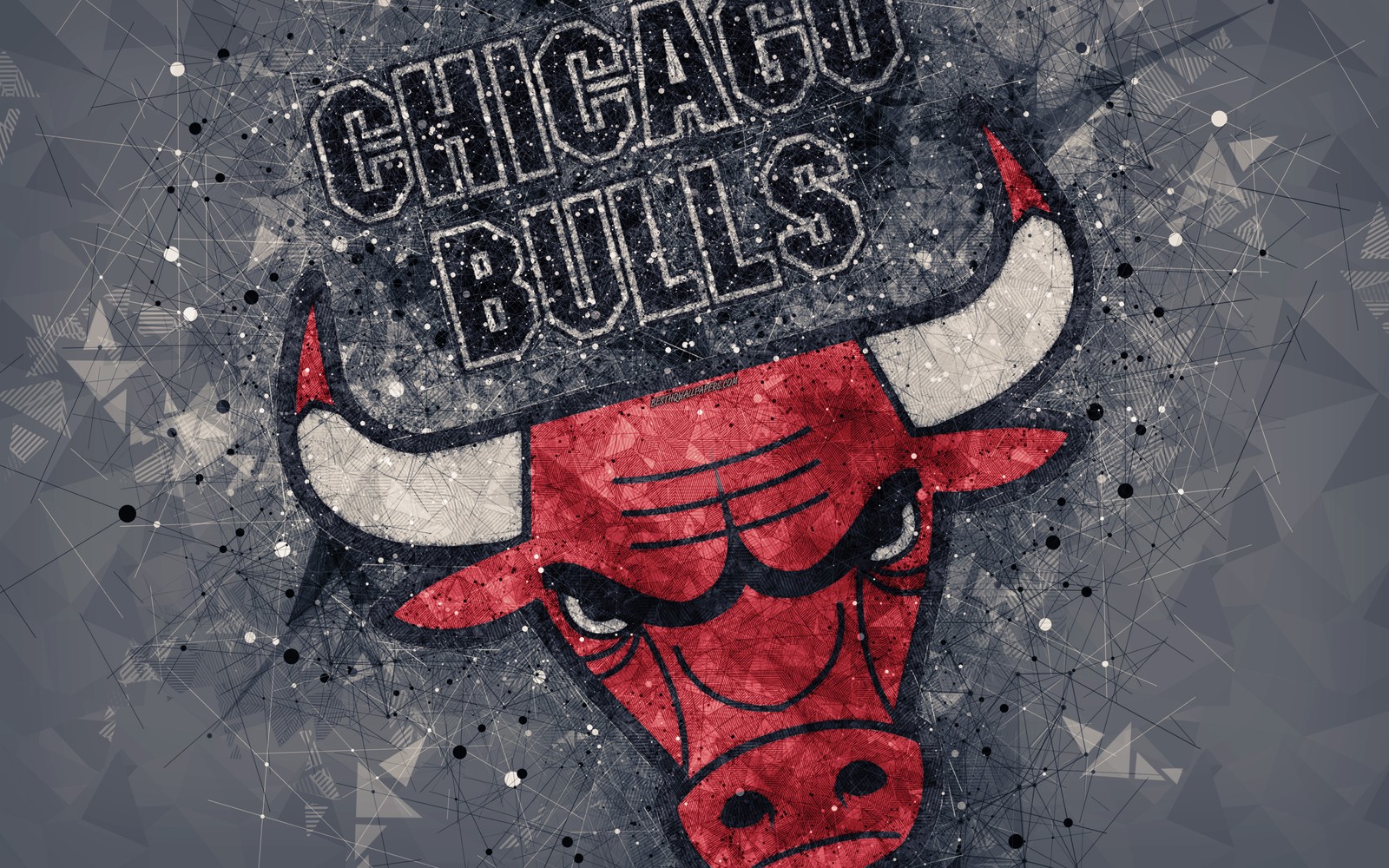 Обои чикаго буллз обои чикаго буллз обои чикаго буллз (чикаго буллс, chicago bulls, nba, баскетбол, чикаго)