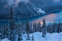 Der Peyto Lake im Banff-Nationalpark, umgeben von schneebedeckten Tannenbäumen und einer ruhigen Winterlandschaft.