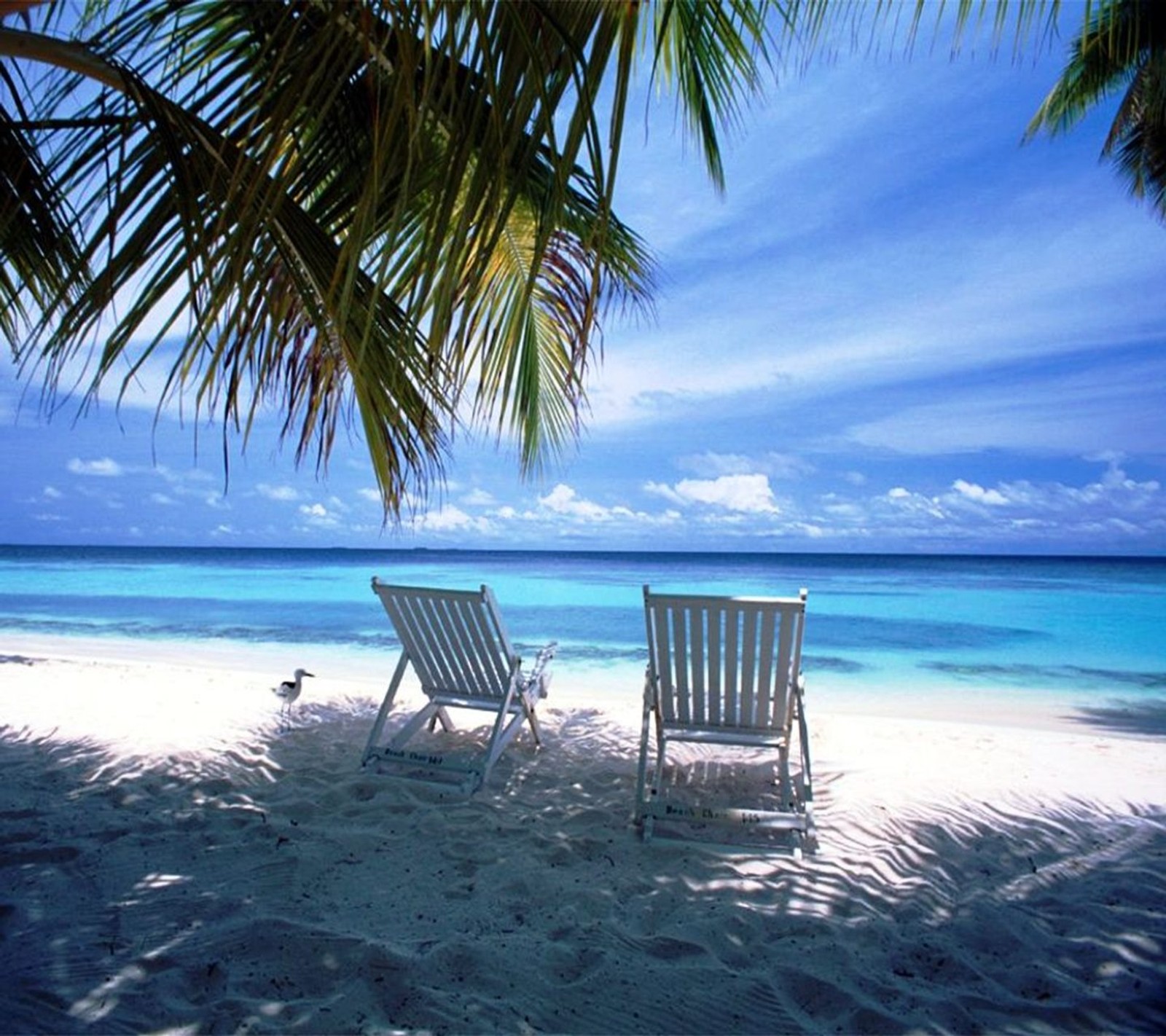 Téléchargez le fond d'écran plage, chaises, paysage, nature, océan