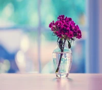 background, flowers, glass, nice, purple