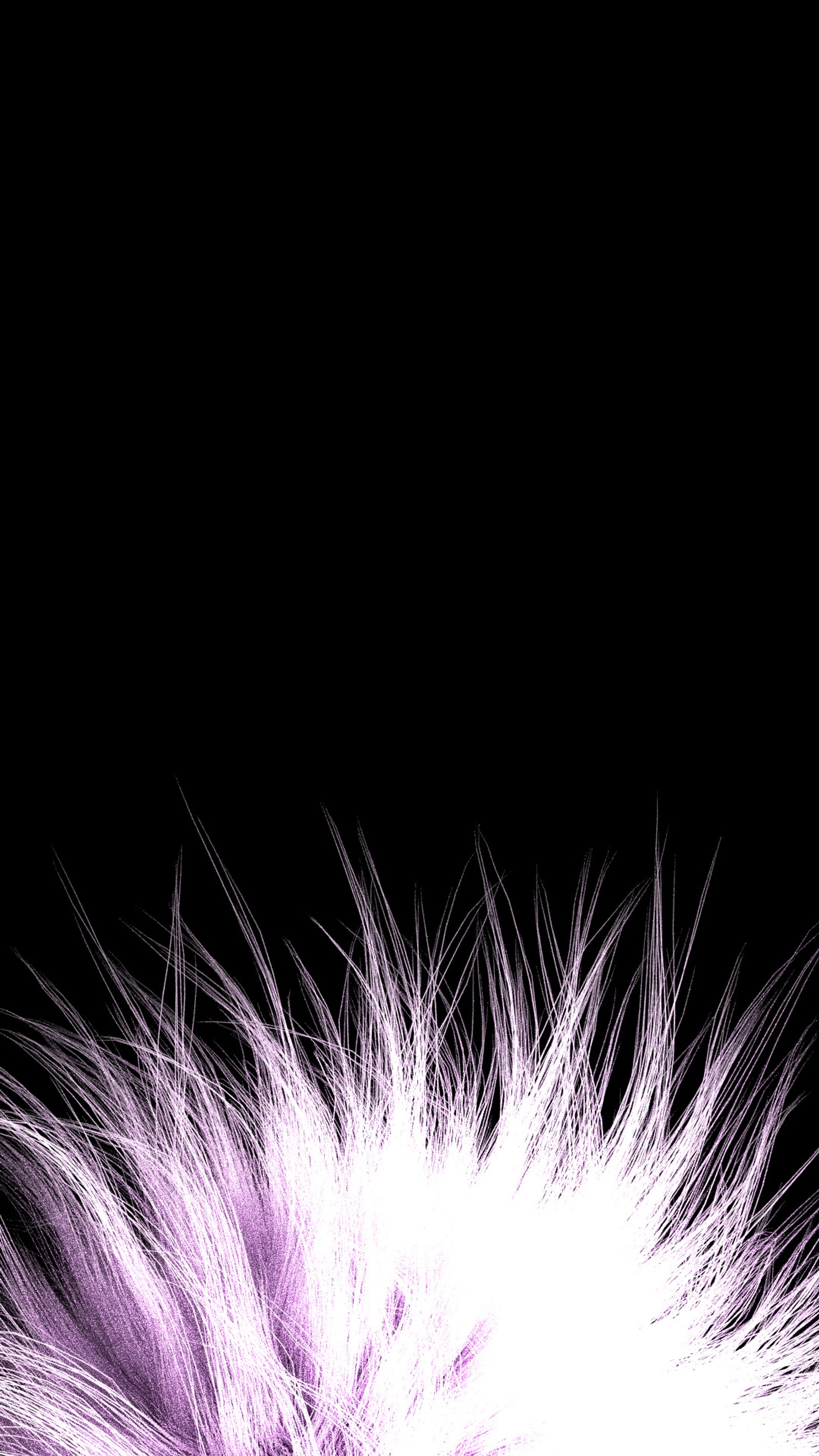 Purple and white fur on a black background (animal, black, fable, fur, hair)