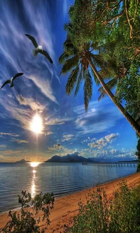 Lever de soleil sur une île tropicale : La sérénité de la nature