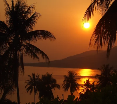 Coucher de soleil époustouflant sur des eaux tranquilles avec des palmiers en silhouette