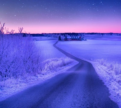 Paisaje invernal congelado bajo un cielo estrellado