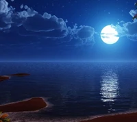 Serene Moonlit Sea Under a Starry Sky