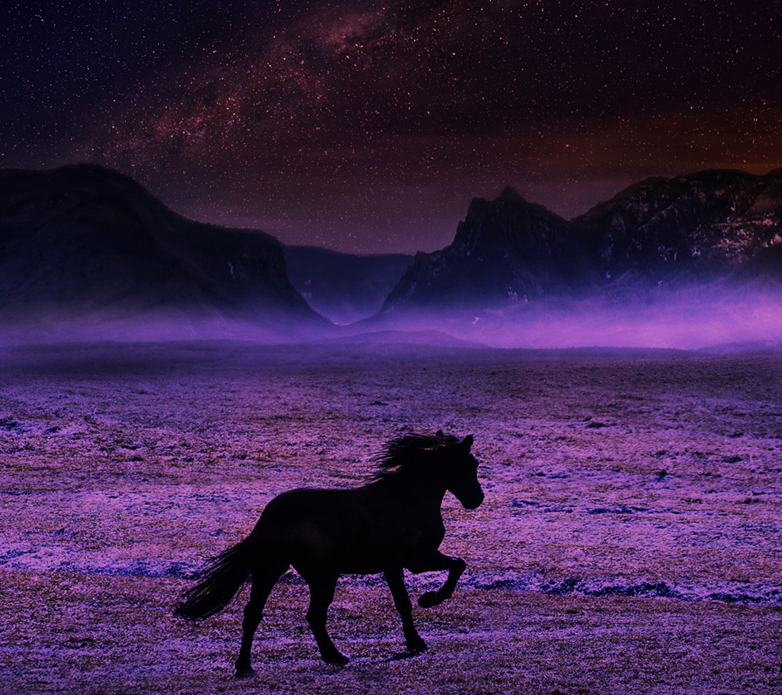 Um cavalo roxo e preto correndo em um campo com montanhas ao fundo (de tirar o fôlego, cavalo)