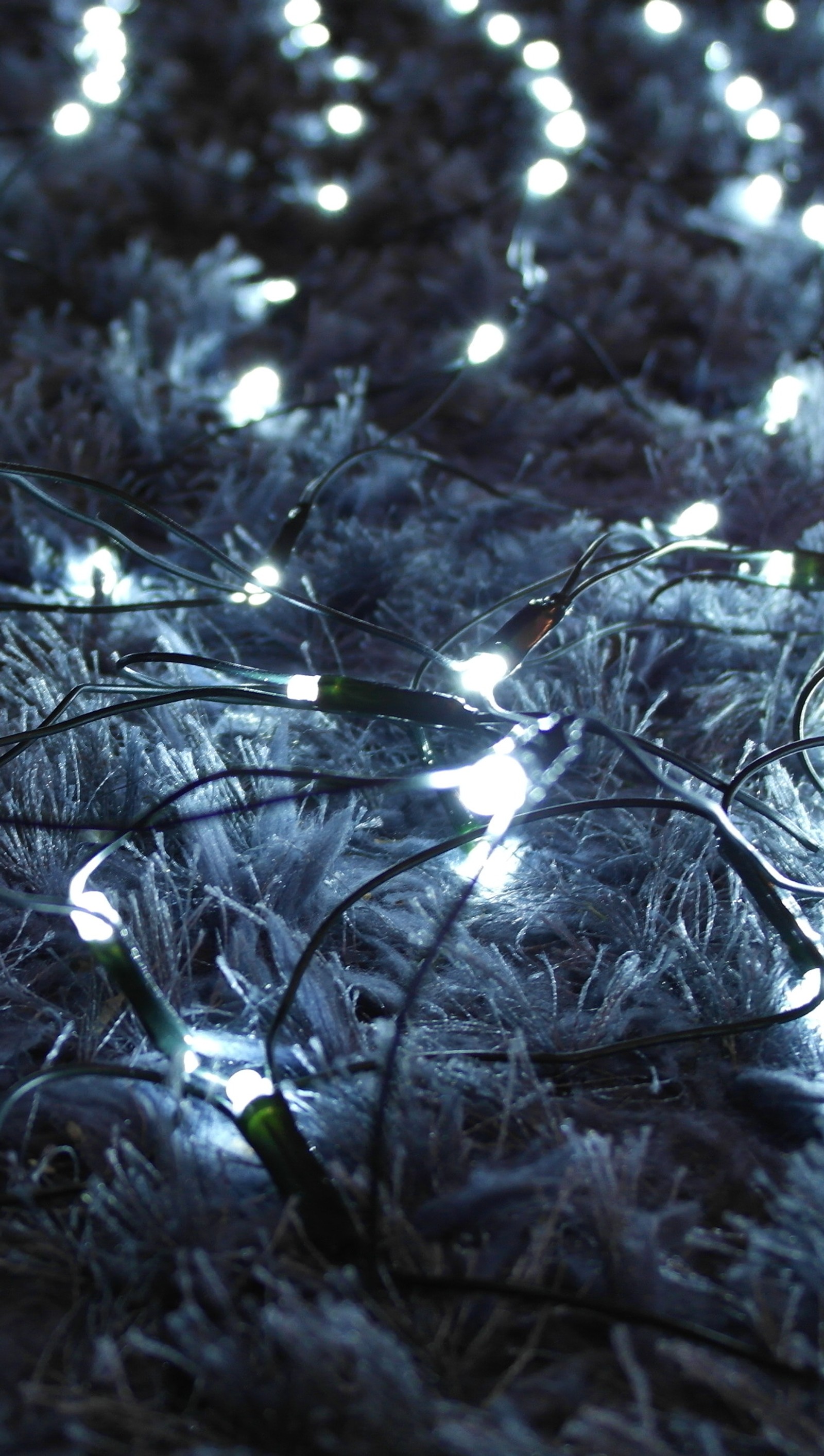 Beaucoup de lumières qui brillent sur le sol dans l'obscurité (noël, hd, lumière, lumières, blanc)