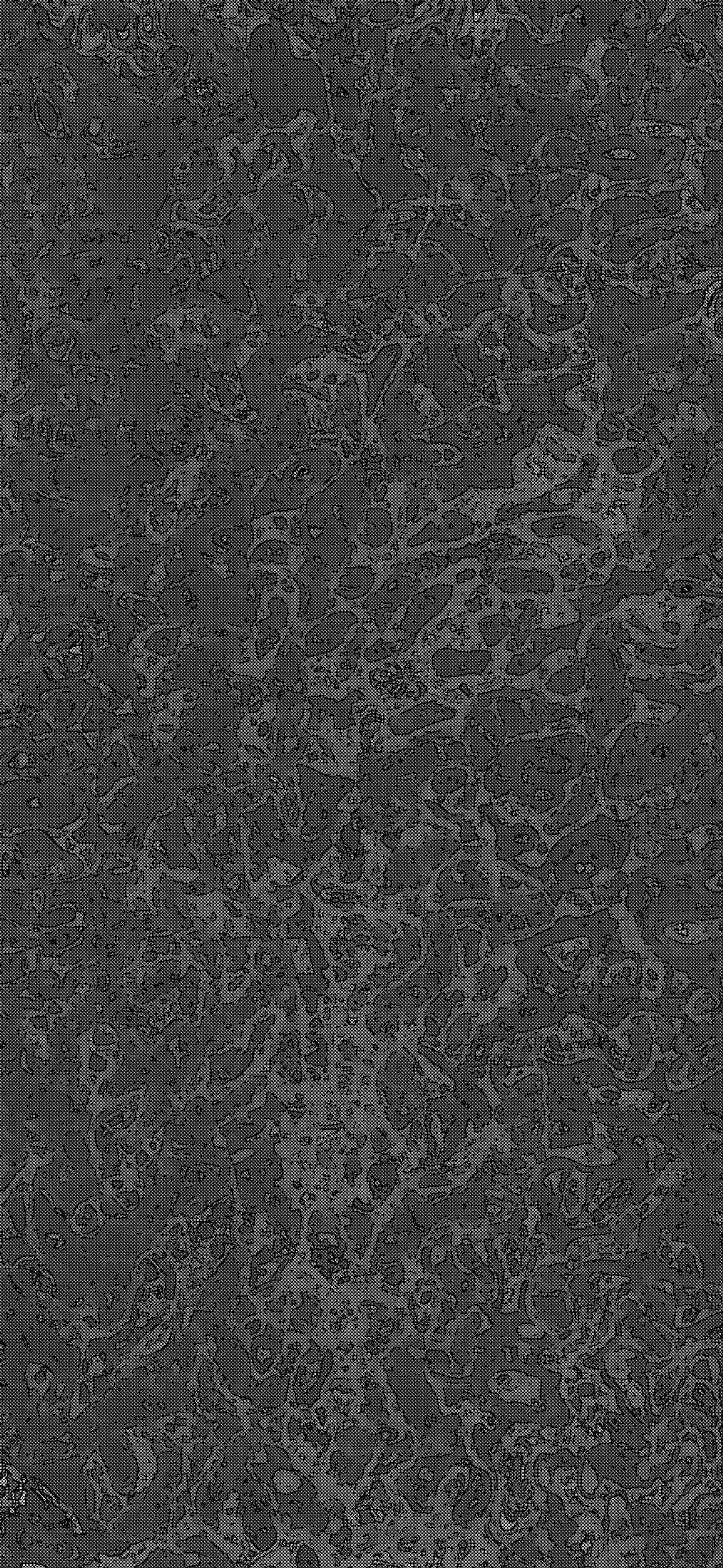 A close up of a black and white photo of a surface (black and white, road surface, asphalt, grey, rectangle)