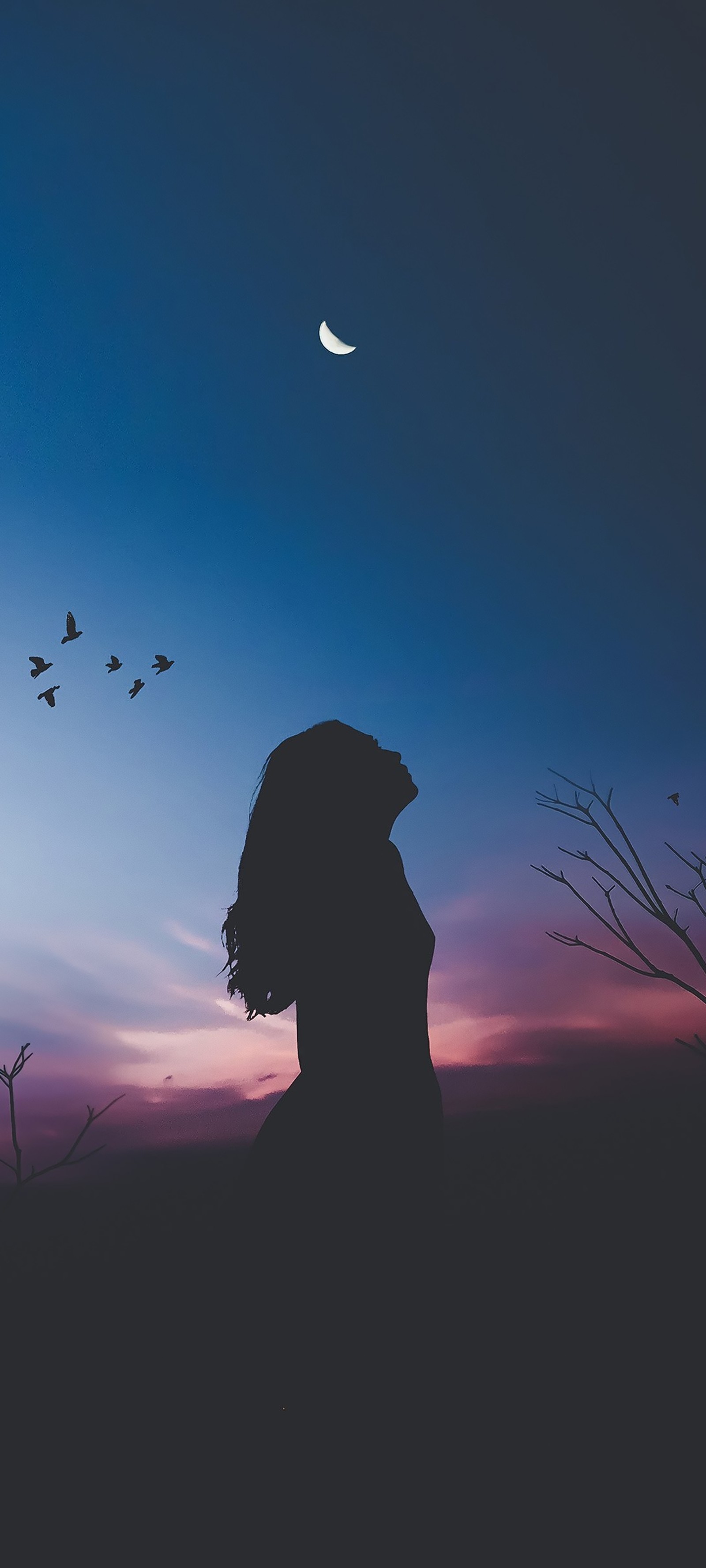 Silhouette of a woman with an umbrella and birds flying in the sky (atmosphere, cloud, moon, azure, dusk)