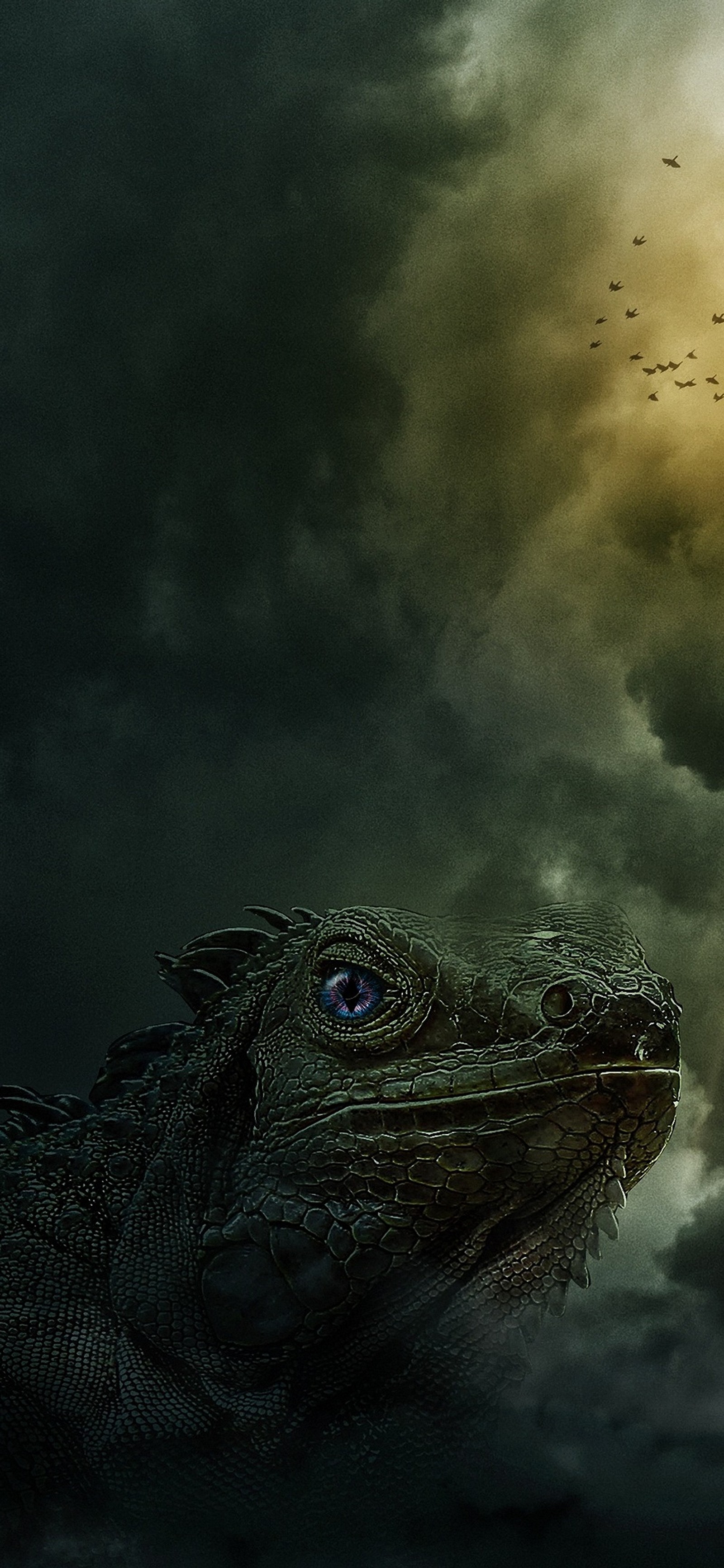 water, cloud, eye, iguania, reptile wallpaper