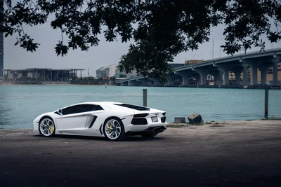 Lamborghini Aventador: Un impresionante supercoche a la orilla del agua