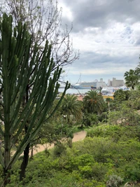 vegetation, biome, shrubland, grasses, physics