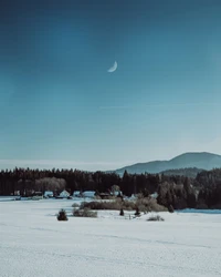 Paisagem de inverno serena com campos cobertos de neve e um céu iluminado pela lua