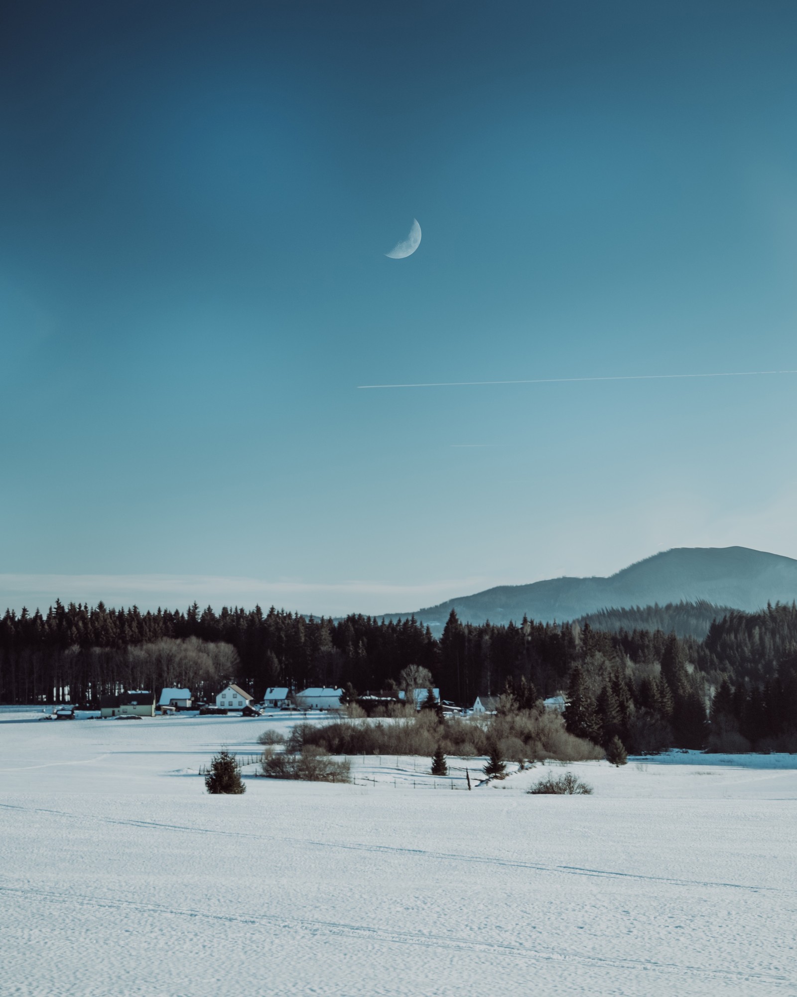 Lade landschaftsmalerei, schnee, winter, baum, gefrieren Hintergrund herunter